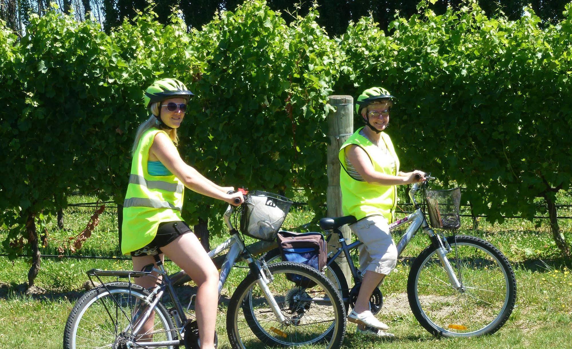 Bed & Breakfast Olde Mill House B&B & Bike2Wine Cycle Hire